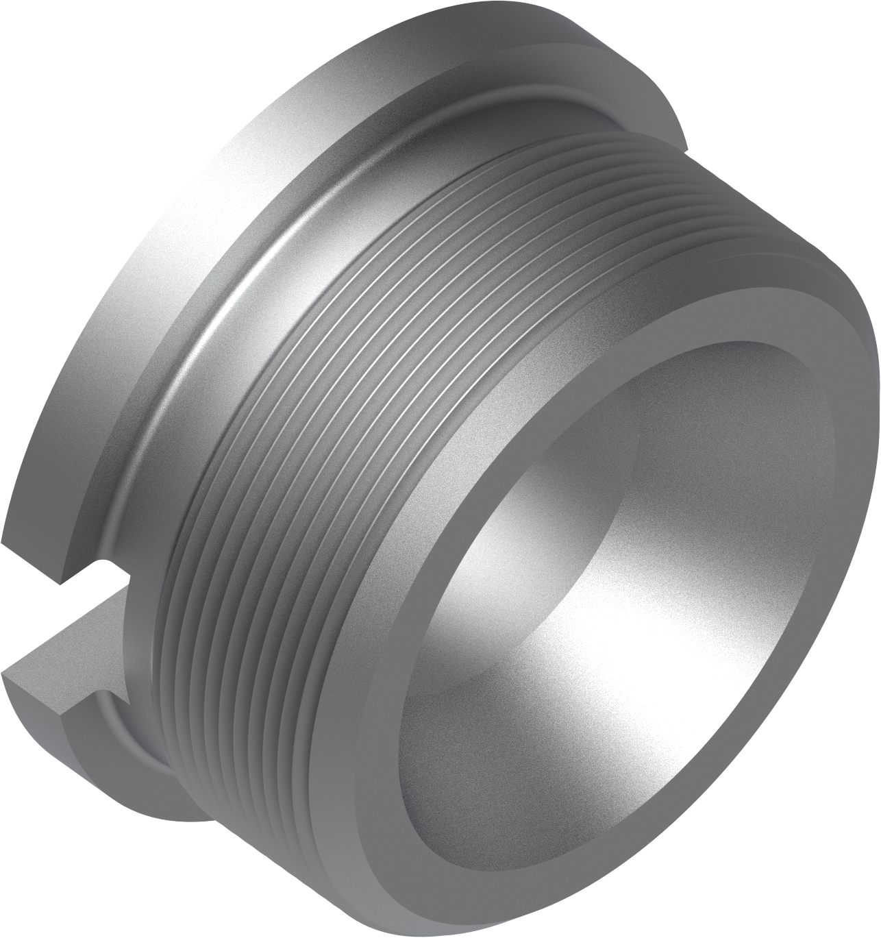 CUERPO, VÁLVULA DE RETENCIÓN BQ PN 40656