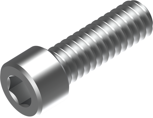 SCREW, 1/4"-20 X 3/4" SS PN 5010341